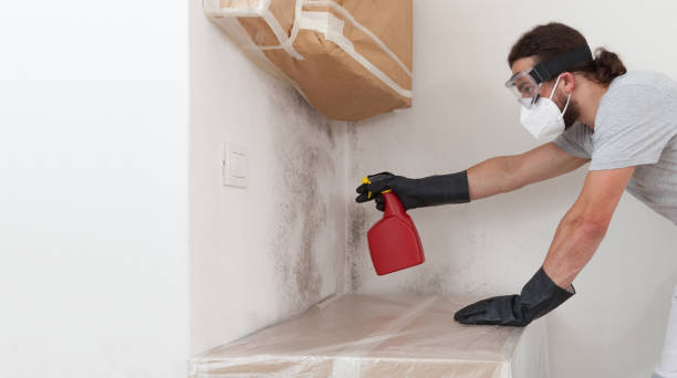 Professional Mold Testing technician working in Westwood, MA