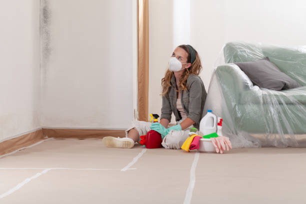 Reliable Mold Testing contractor in Westwood, MA by WQB Mold Removal